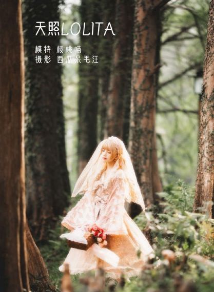鞋匠人生_高清免费高清观看