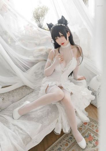 度华年免费看_1080P免费观看超清